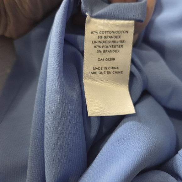 ⭐️Cleo Floral Blue Sleeveless Dress Size 10 - Picture 4 of 5